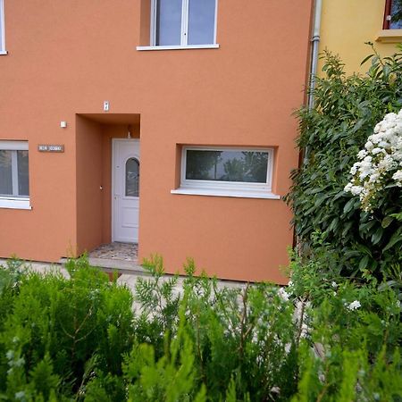 Chez Odette - Spa, Plancha, Parking Albi Eksteriør bilde