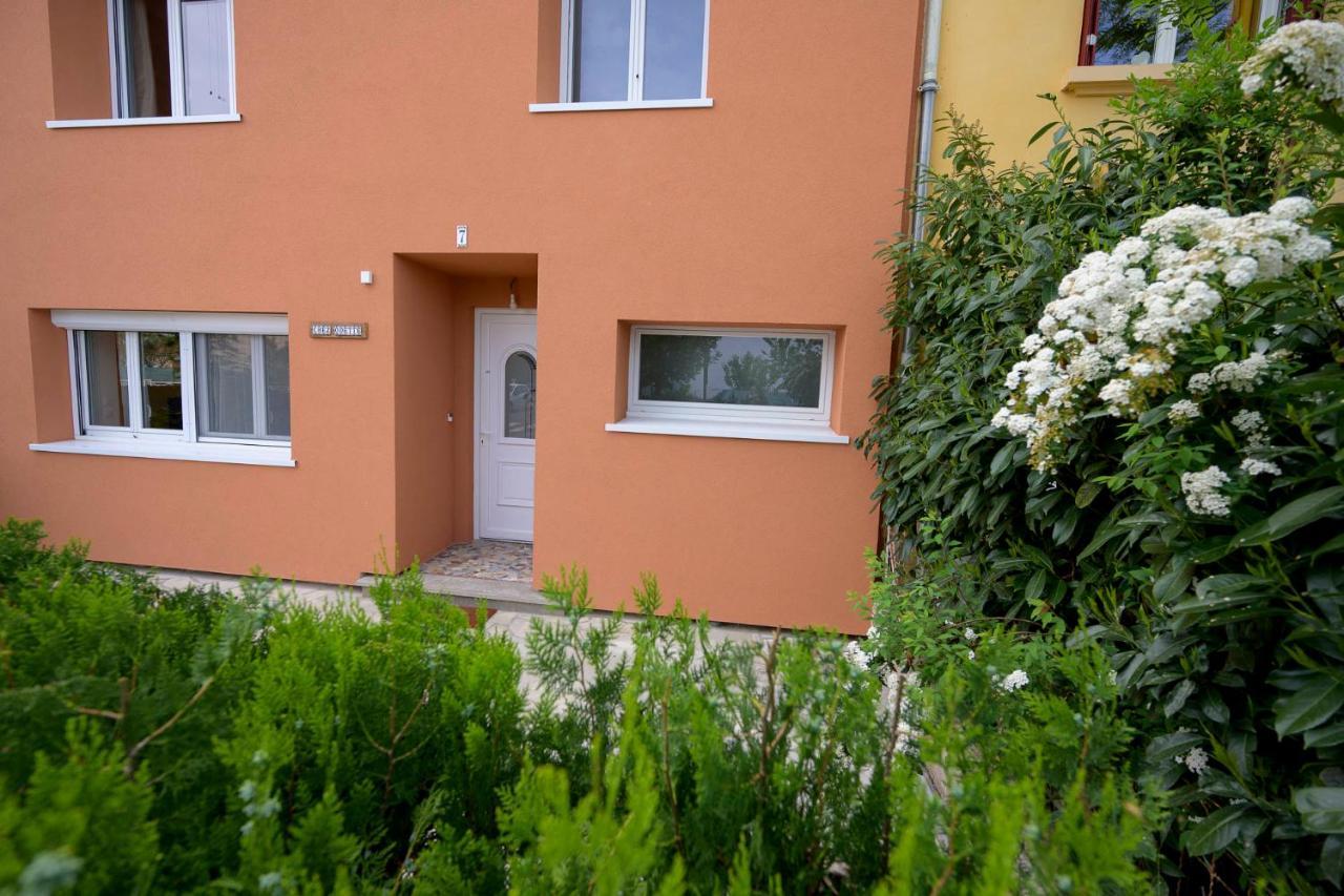 Chez Odette - Spa, Plancha, Parking Albi Eksteriør bilde