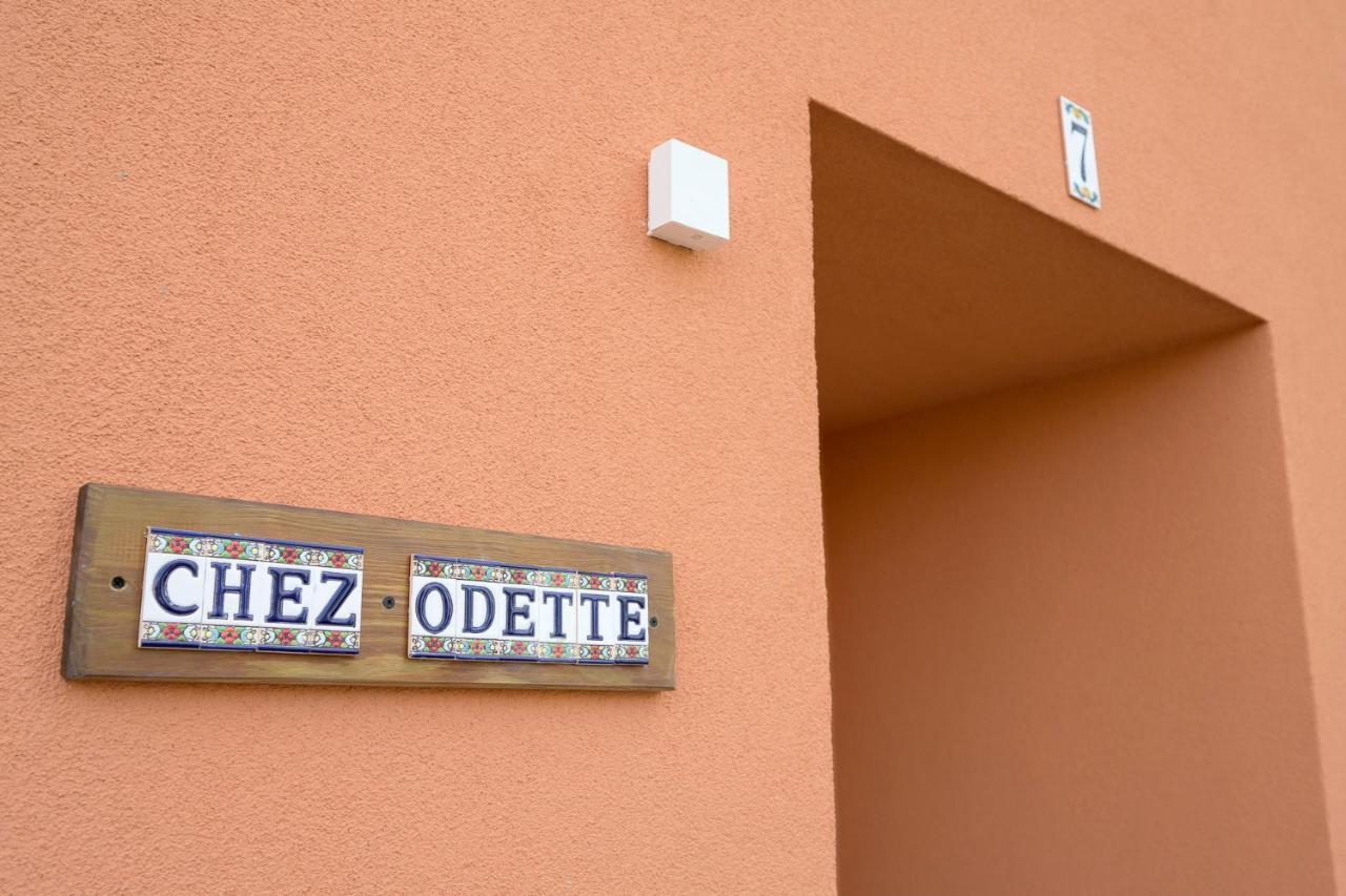Chez Odette - Spa, Plancha, Parking Albi Eksteriør bilde